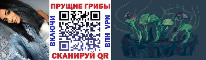 Галлюциногенные грибы Magic Shrooms наркотики Элиста
