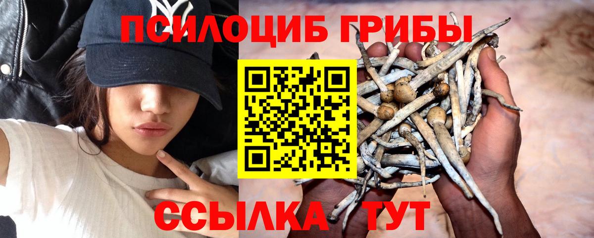 Галлюциногенные грибы Cubensis Элиста