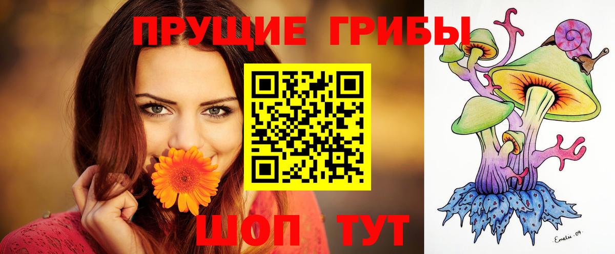 Элиста  Галлюциногенные грибы прущие грибы  дарнет шоп  Вход с VPN  Псилоцибиновые грибы GOLDEN TEACHER 