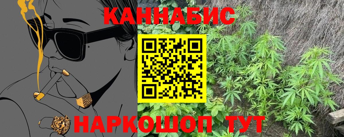 МАРИХУАНА ГИДРОПОН  Вход с VPN  Элиста  Каннабис план 
